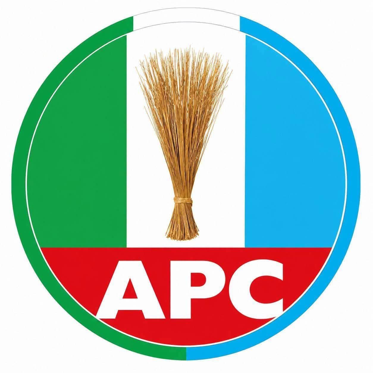 APC Constitutes Presidential Campaign Council: Yari Named DG, Uzodimma Secretary